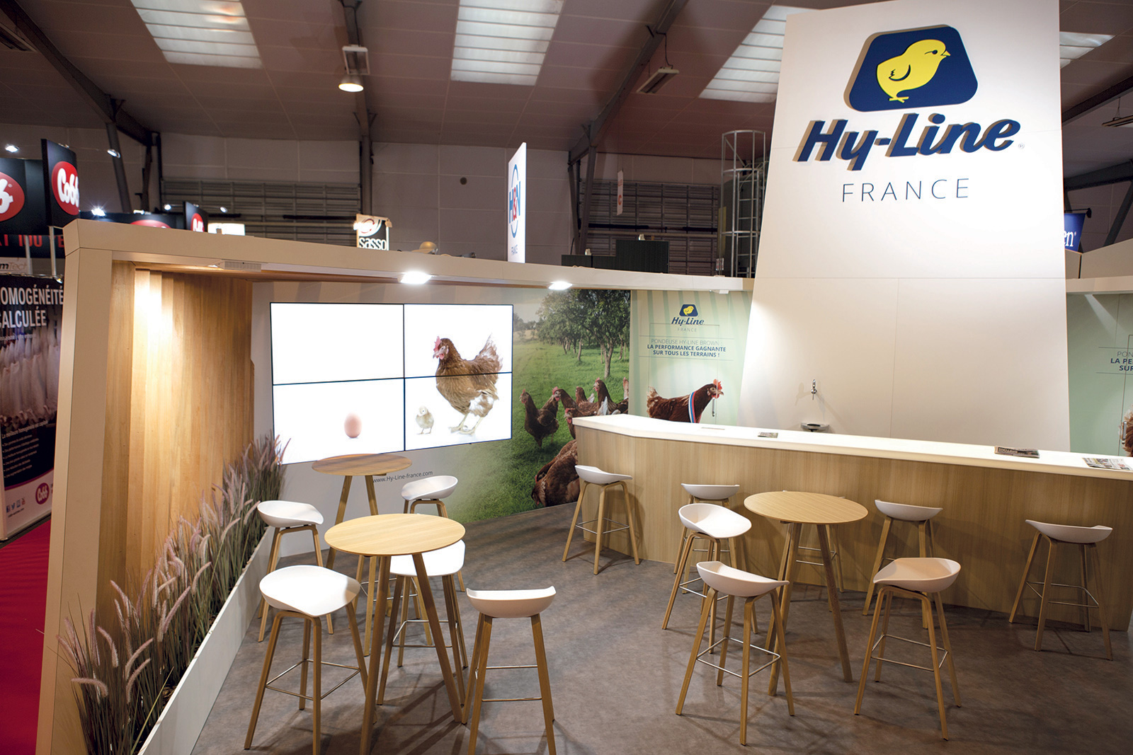 hyline