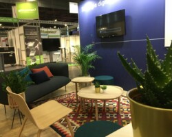 ASI 1 scaled ASI 1 scaled