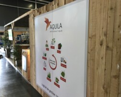 Aquila 2 scaled Aquila 2 scaled