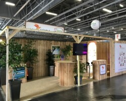 Aquila 3 scaled Aquila 3 scaled