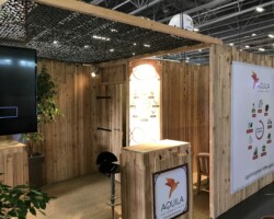 Aquila 4 scaled Aquila 4 scaled