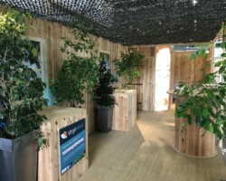 Aquila 5 1 scaled Aquila 5 1 scaled