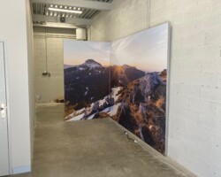 GCC Lyon 5 GCC Lyon 5