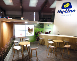 Hyline 14 scaled Hyline 14 scaled