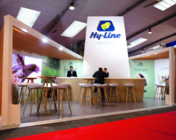 Hyline 15 scaled Stand Hyline par Artéa Events