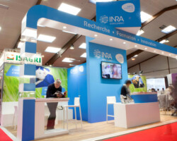 INRA 6 scaled INRA 6 scaled