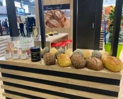 REITMANN - SERBOTEL - 54m² REITMANN - SERBOTEL - 54m²