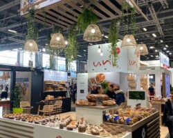 REITMANN - SERBOTEL - 54m² REITMANN - SERBOTEL - 54m²