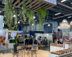 REITMANN - SERBOTEL - 54m² REITMANN - SERBOTEL - 54m²